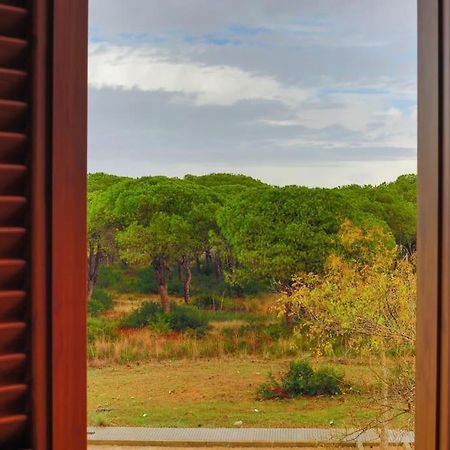 Precioso Apartamento A 700 M Del Mar Chiclana de la Frontera Exterior photo